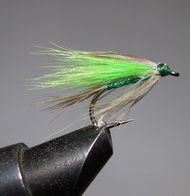 ���� ������ Wet fly 